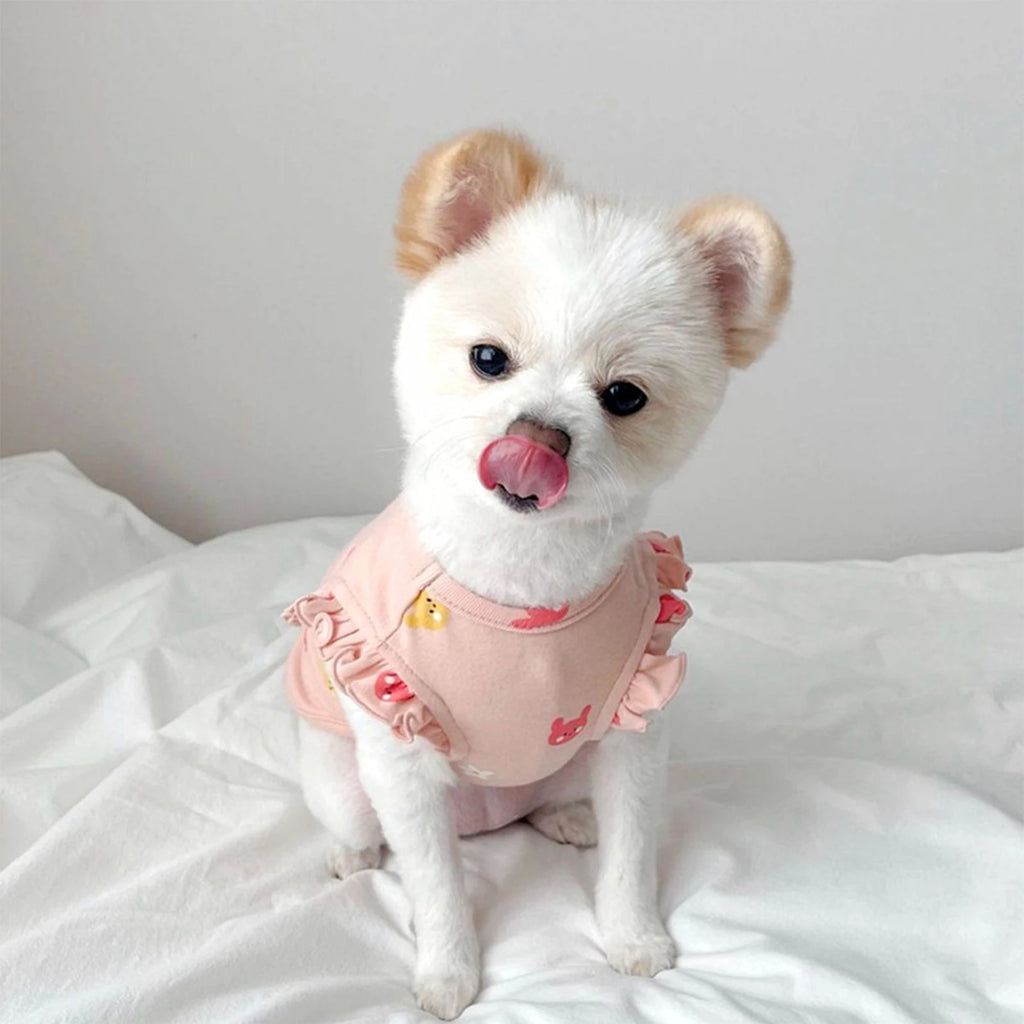 Two Legs Pet Shirt Small Breed Puppy Kitten Fall Rabbits Flowers Bear