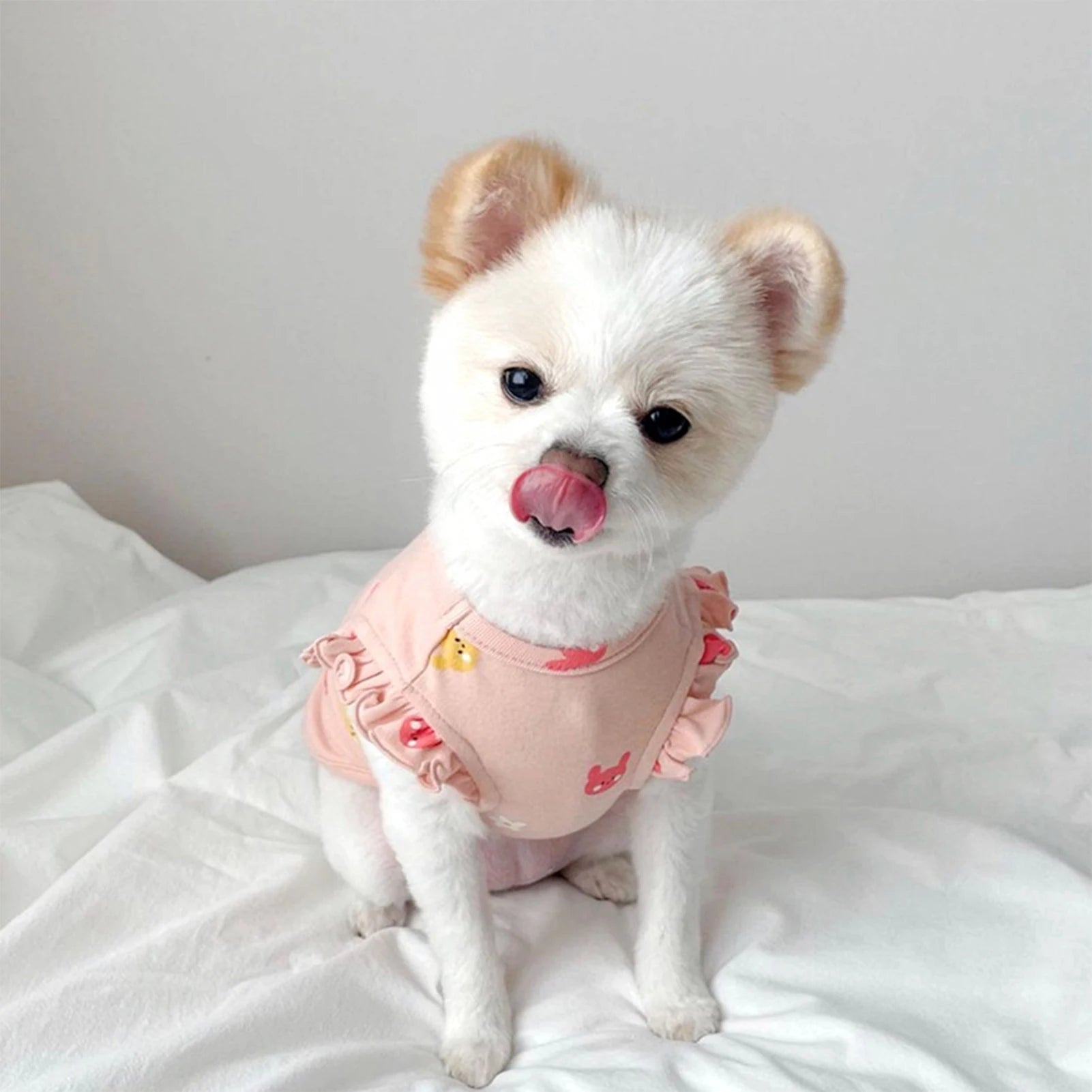Two Legs Pet Shirt Small Breed Puppy Kitten Fall Rabbits Flowers Bear