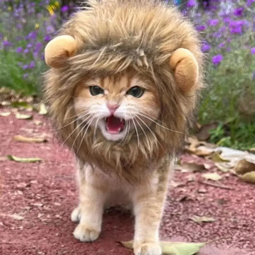 New Cute Funny Pets Clothes Cap Cute Cat Wig Lion Mane Costume Cosplay
