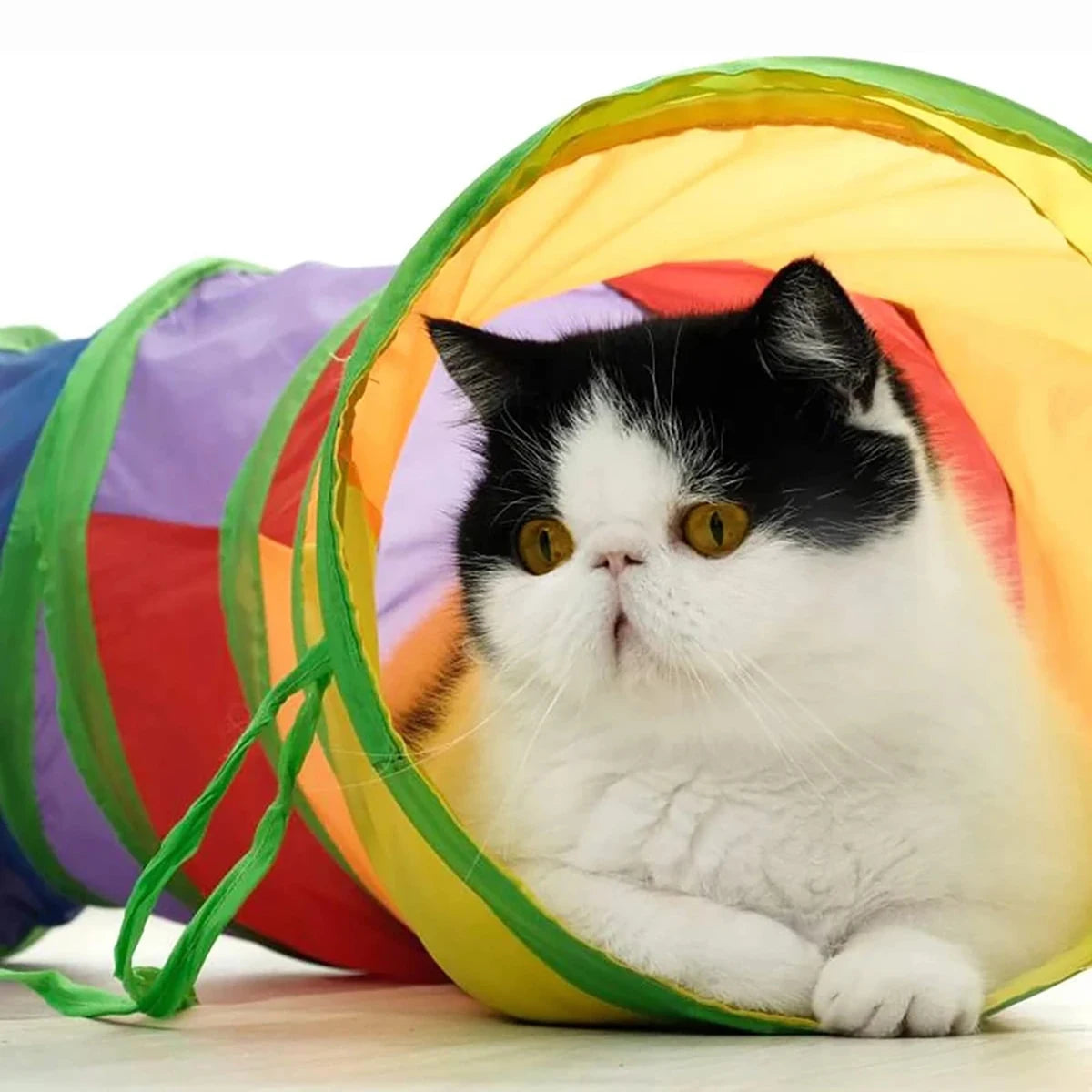 Cat Tunnel Tube Foldable Cat Toys Kitty Training Interactive Fun Toy