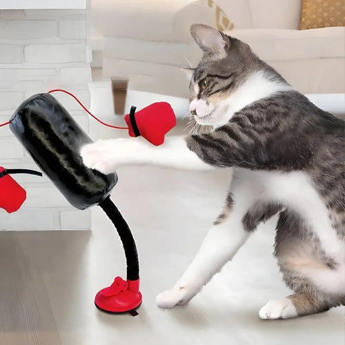 Interactive Cat Boxing Toy Cat Punching Bag Self-Standing Play Gym for