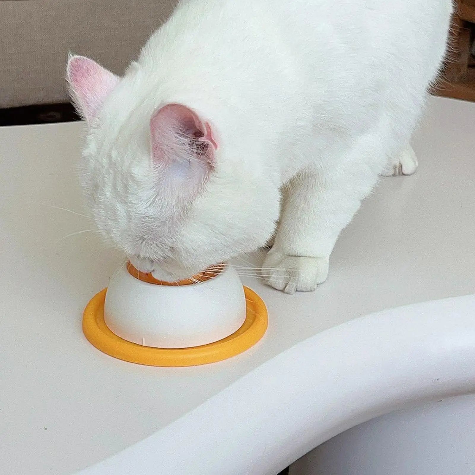 Dog/cat licking bowl, pet licking toy slow food bowl, non-slip licking