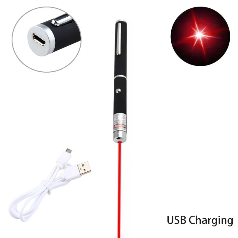 Pet Laser Pointer LED Flashlight Interactive Cat Training Toy Holiday
