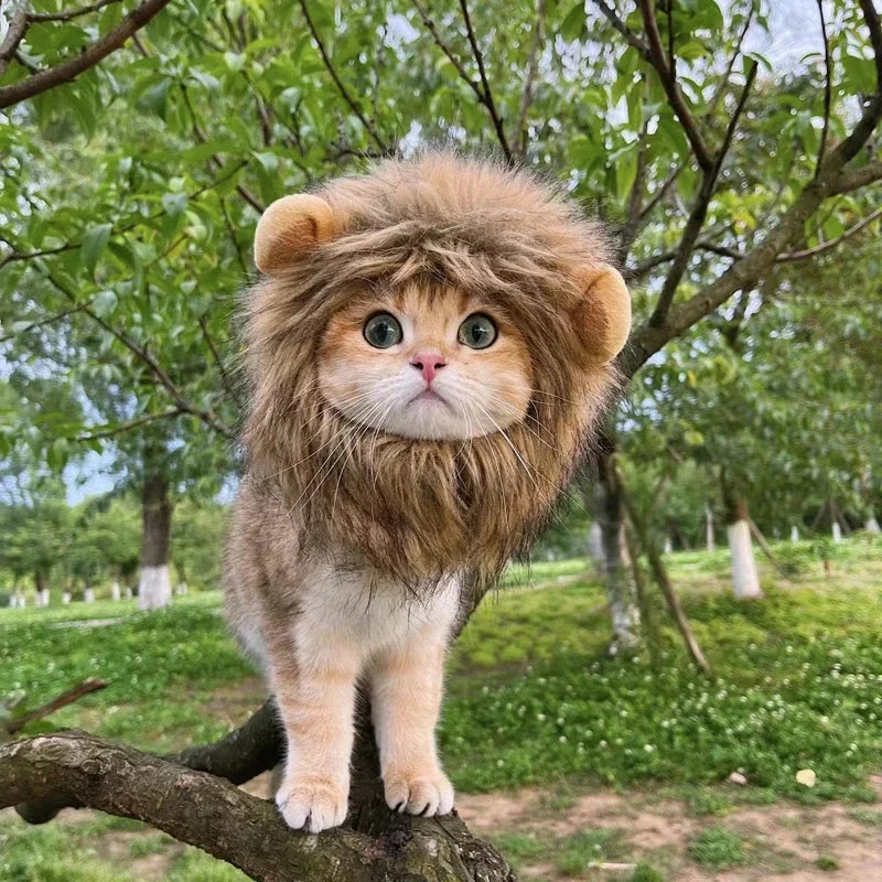 New Cute Funny Pets Clothes Cap Cute Cat Wig Lion Mane Costume Cosplay