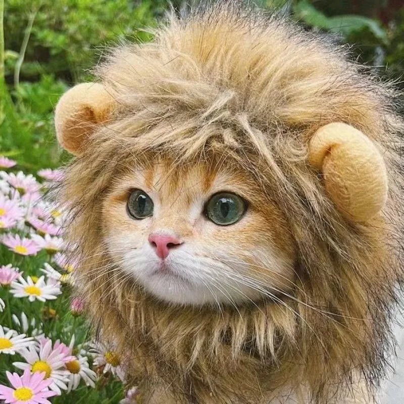 New Cute Funny Pets Clothes Cap Cute Cat Wig Lion Mane Costume Cosplay