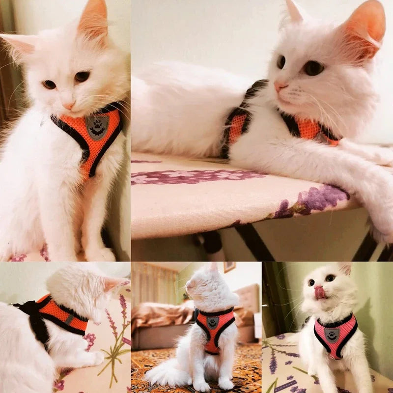 Summer Cat Dog Harness Lead Leash Adjustable Vest Polyester Mesh