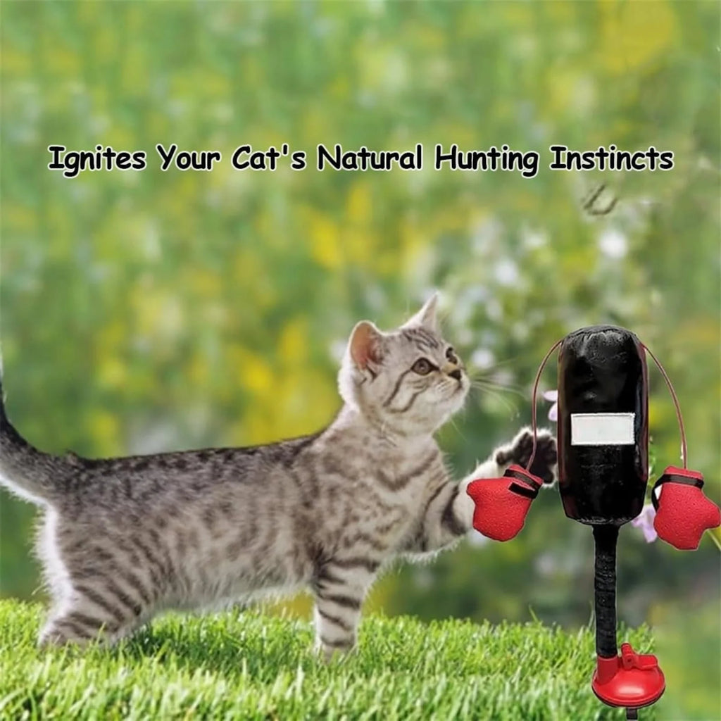 Interactive Cat Boxing Toy Cat Punching Bag Self-Standing Play Gym for