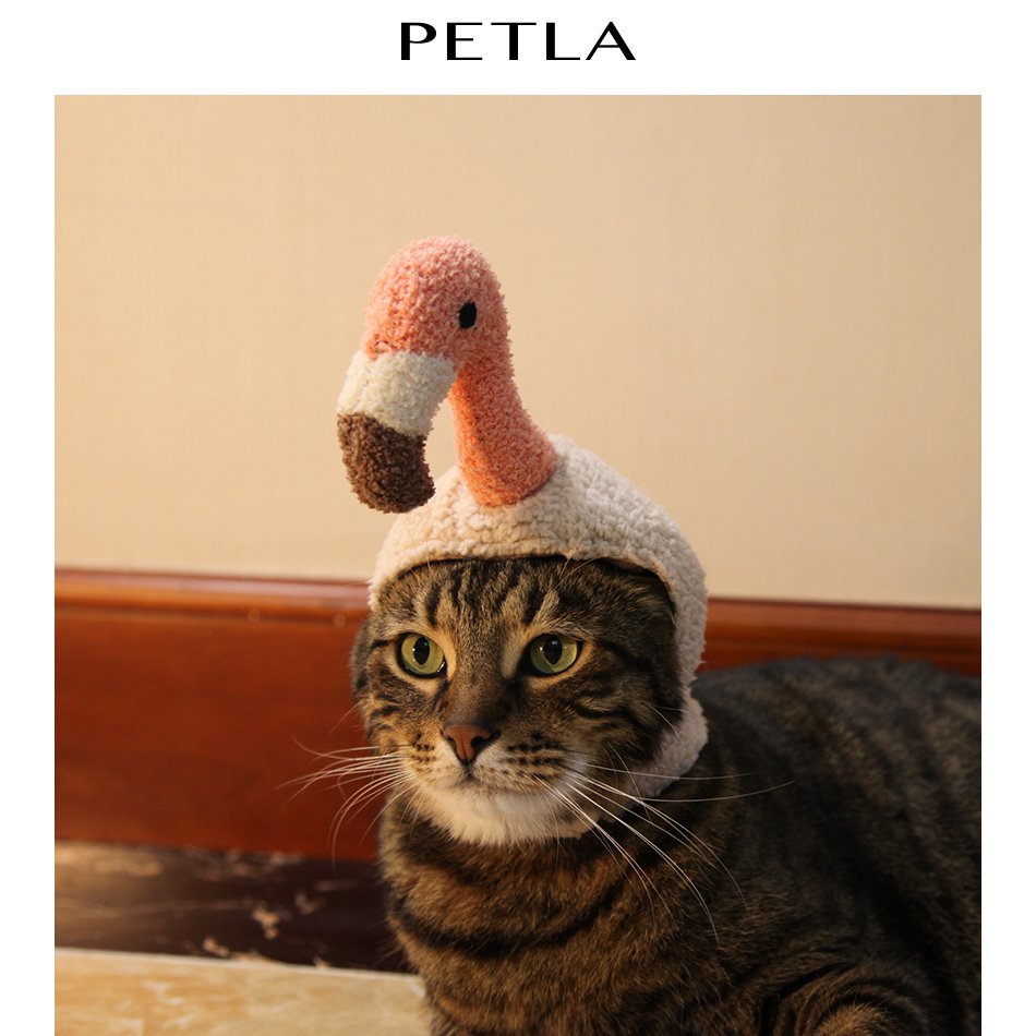 Flamingo Cap